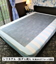 ふとん用除湿シート(シリカゲル・防ダニ剤入)【シングル・100×180cm×【2枚】【送料無料】 防ダニ 防ダニシート ダニシート 防虫シート 除湿シート 除湿マット 乾燥シート 乾燥剤 除湿剤 敷きパッド 押し入れシート 除湿 防カビ 脱臭 ダニロボ 枕 敷き布団