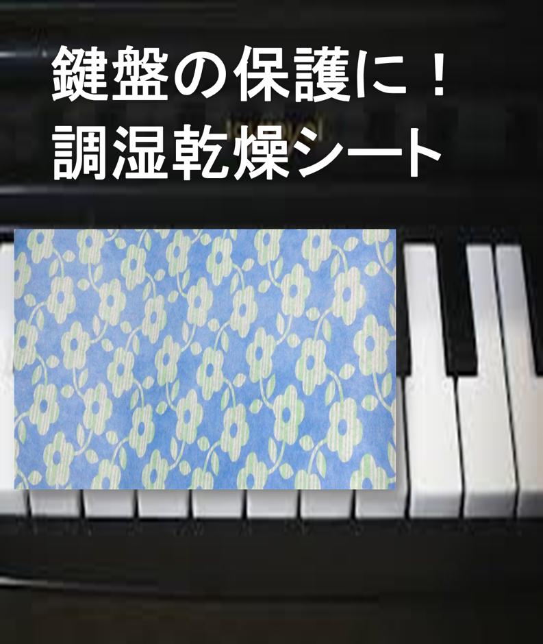 ピアノ用乾燥剤（鍵盤用）【手の汗は、錆・カビ・鍵盤変色の原因】【15cm×60cmシート×2枚】×【 ...