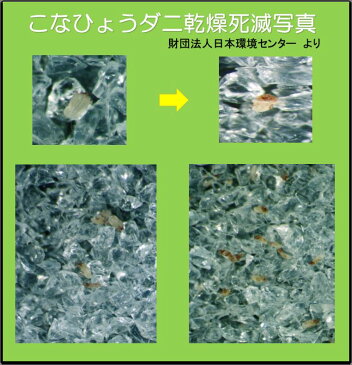 ダニッシュ ユーカリ油入（カーペットにもぐりこんだダニ駆除）粉状乾燥剤(100g・約2畳分）×【6個】【送料780円】（ダニは乾燥で駆除できる） 防虫剤 防ダニ ダニシート ダニマット カーペットシート 畳シート カーペット ラグ 防ダニシート 防虫シート