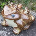 信楽焼 和風 おしゃれ 12号五匹子付き蛙 (むかえる) お庭に玄関先に陶器蛙 陶器 しがらきやき 蛙 陶器かえる カエル ka-0022