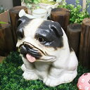 信楽焼 和風 おしゃれ イヌ 置物 ブルドック 置き物 犬 いぬ 陶器 ガーデニング インテリア ギフト しがらき 焼き物 ok-0038