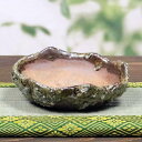 【20%OFFクーポン配布中】山草鉢 手作りの陶器植木鉢 山野草鉢 信楽焼 山草 鉢 しがらき 陶器鉢 植木 やきもの 信楽焼鉢 手づくり sa-0300