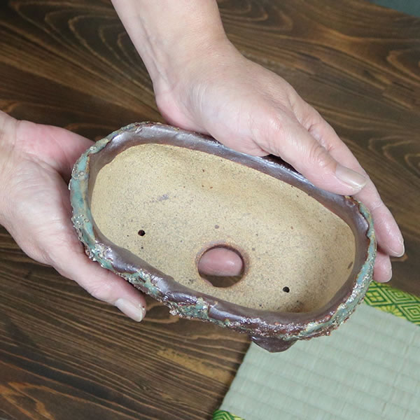 【6月4日20時開始20%OFFクーポン】山草鉢 手作りの陶器植木鉢 山野草鉢 信楽焼 山...