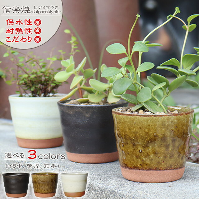 信楽焼 植木鉢 陶器 おしゃれ 山草鉢 フラワーポット サボテン鉢 多肉鉢 プランター 国産 鉢植え 盆栽鉢 山野草鉢 鉢 焼き物 選べる3色 てまりフラワーポット（小） sa-0328