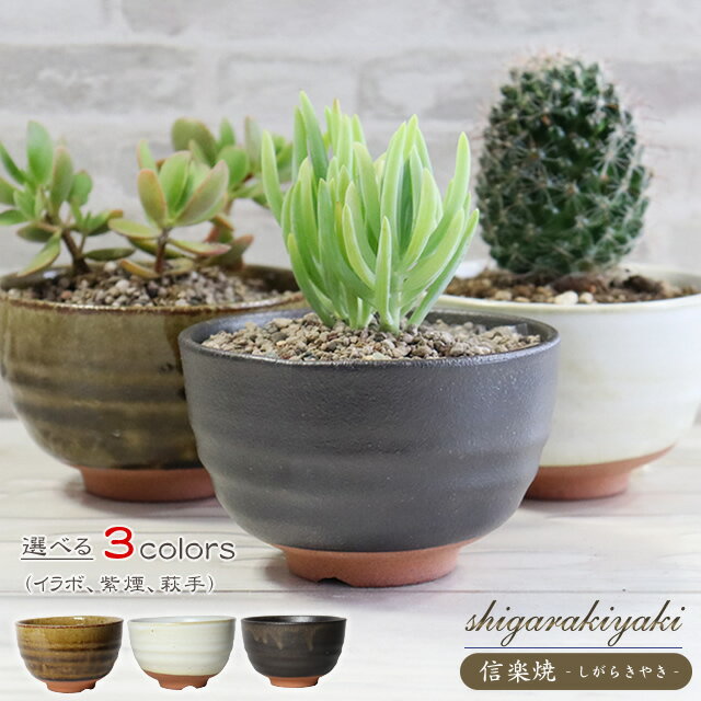 楽天市場】陶器鉢 国産(植木鉢・プランター|ガーデニング 楽天市場】陶器鉢 国産(植木鉢・プランター|ガーデニング
