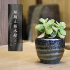 【4月24日20時開始ポイント10倍】信楽焼 植木鉢 陶器 おしゃれ 山草鉢 フラワーポット サボテン鉢 多肉鉢 プランター 国産 鉢植え 盆栽鉢 山野草鉢 鉢 焼き物 銀嶺シリーズ 銀嶺丸型植木鉢（小） sa-0330