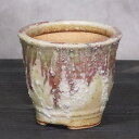 【20%OFFクーポン配布中】山草鉢 手作りの陶器植木鉢 山野草鉢 信楽焼 山草 鉢 しがらき 陶器鉢 植木 やきもの 信楽焼鉢 手づくり 多肉植物 塊根植物 ...