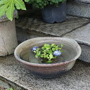 【今だけ限定10%OFFクーポン配布中】水鉢 すいれん鉢 信楽焼すいれん鉢 メダカ鉢 金魚鉢 睡蓮鉢 陶器スイレン鉢 ハス鉢 はす鉢 めだか鉢 鉢 陶器 水連鉢...