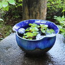 すいれん鉢 信楽焼すいれん鉢 メダカ鉢 金魚鉢 睡蓮鉢 陶器スイレン鉢 ハス鉢 はす鉢 めだか鉢 鉢 陶器 水連鉢 水鉢 信楽焼き睡蓮鉢 手水鉢 陶器鉢 ガーデ...