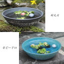 【11%OFFクーポン配布中】魚好きがこだわったメダカ鉢!メダカ鉢 睡蓮鉢 めだか 鉢 金魚鉢 陶器 白 黒 メダカ ビオトープ 水鉢 信楽焼 ハス鉢 水連鉢 手水鉢 水槽 おしゃれ 選べる2色 15号水鉢 su-0291