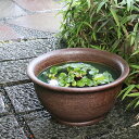 【今だけ限定10%OFFクーポン配布中】信楽焼 和風 おしゃれ スイレン鉢 陶器鉢 陶器水鉢 水鉢 鉢 金魚鉢 めだか鉢 すいれん鉢 メダカ鉢 ハス鉢 睡蓮鉢 ...