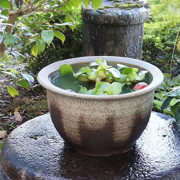 信楽焼 和風 おしゃれ 13号灰釉千段�