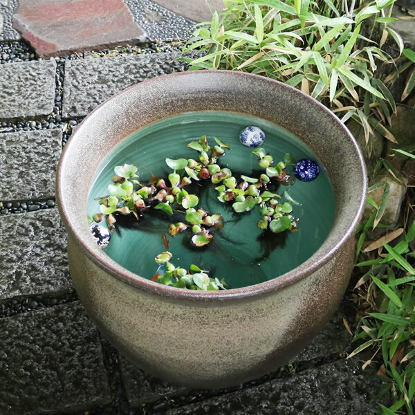 送料無料 和風 信楽焼スイレン鉢 金魚鉢 メダカ鉢 陶器睡蓮鉢 睡蓮鉢 睡蓮 鉢 金魚鉢 信楽焼き鉢 信楽焼めだか鉢 手水鉢 陶器鉢 しがらき すいれん 陶器めだか鉢 大型 大きい鉢 信楽焼 和風 おしゃれ スイレン鉢 大型 陶器水鉢 水鉢 鉢 金魚鉢 めだか鉢 すいれん鉢