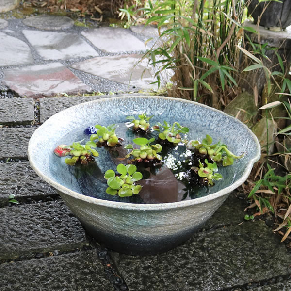 金魚鉢 陶器睡蓮 鉢 陶器睡蓮鉢 すいれん鉢 めだか鉢 陶器水鉢 信楽焼めだか鉢 陶器 メダカ鉢 大きい 水鉢 信楽焼スイレン鉢 睡蓮鉢 信楽焼き鉢 陶器 鉢 特大 38時間限定ポイント倍 水鉢 すいれん鉢 信楽焼すいれん鉢 メダカ鉢 金魚鉢にも最適 睡蓮鉢 陶器