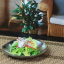【8月4日20時開始15%OFFクーポン】信楽焼 和風 おしゃれ 小皿 セット おしゃれ 陶器 取り皿 サラダ 皿 黒 暁取り皿 w922-05