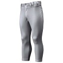 【送料無料】ミズノ ミズノプロ パンツ/レギュラータイプ(野球) グレー Mizuno 12JD6F0105
