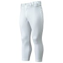 【送料無料】ミズノ ミズノプロ パンツ/ショートタイプ(野球) ホワイト Mizuno 12JD6F0201