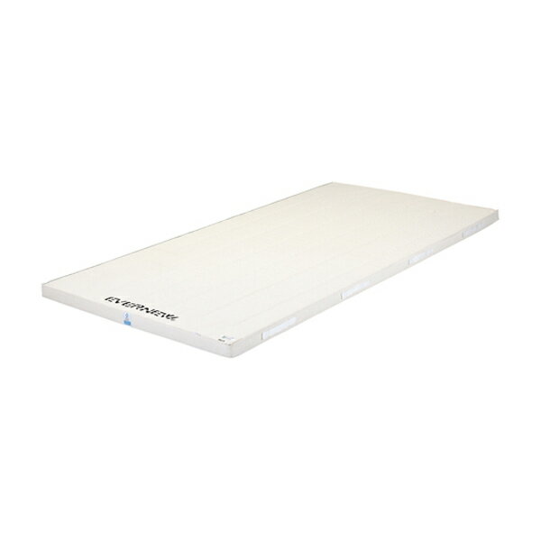 【送料無料】エバニュー EKM155 5cm厚抗菌合成スポンジマット6号 すべり止め付 120×600×5 EVERNEW