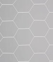 【送料無料】エバニュー EKD841 一般サッカーゴールネット 亀甲タイプ S115 EVERNEW