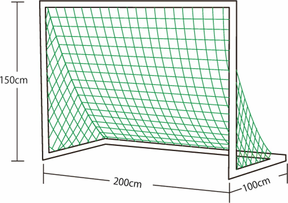 エバニュー EKU029 ミニサッカーゴールネット M101 EVERNEW