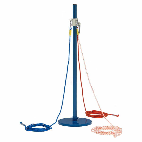 ȡ饤 B3669 ȥꥪץ TOEILIGHT