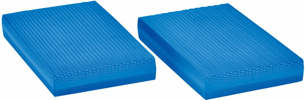 【送料無料】トーエイライト H7175 バランスパッド3 2枚1組 TOEILIGHT