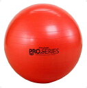 【送料無料】D&M SDSエクササイズボール(最大直径 55 cm) DM SDS55