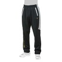 【送料無料】ミズノ ミズノプロ テックシールドパンツ ブラック×シルバー Mizuno 12JF8W0271(4)