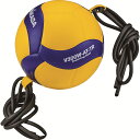 ミカサ トレーニングボール5号 MIKASA V300WATTR(4)