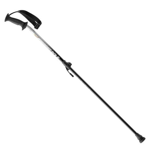 【送料無料】ミズノ エスコートポール シルバー Mizuno C3JES91004 【送料無料】ミズノ エスコートポール シルバー Mizuno C3JES91004