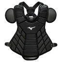 【送料無料】ミズノ 軟式用プロテクター（野球） ブラック Mizuno 1DJPR12009