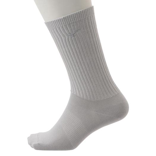 【送料無料】ミズノ フィットウェルソックス (レギュラー丈)（メンズ） ベイパーシルバー Mizuno 52JX100504