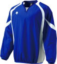 【送料無料】デサント ウインドジャック DESCENTE PJ320B RYWH
