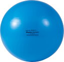 ダンノ ギムニクカラーボール95 ブルー(直径 95 cm) DANNO D5435