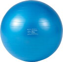 ダンノ ギムニクカラーボール PLUS 65 ブルー DANNO D5422B