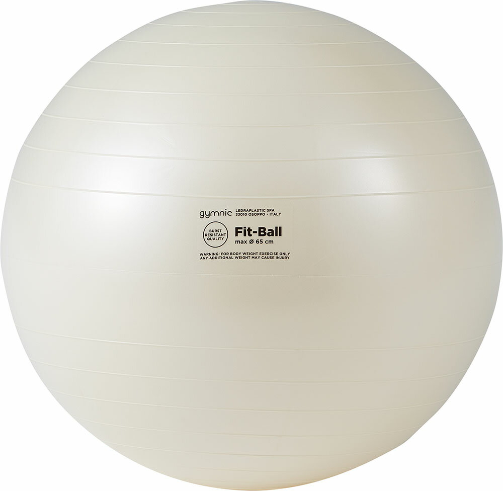 【送料無料】ダンノ ギムニクフィットボール DANNO D5921