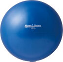 【送料無料】ダンノ ソフトsmallウェイトボール2500・ブルー DANNO D5953(4)