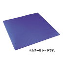 【送料無料】ダンノ エアロビクスマット180(レッド) DANNO D5580R