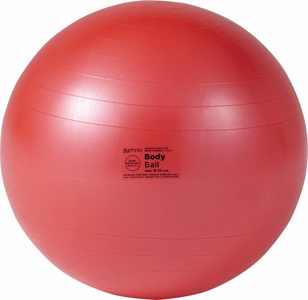 ダンノ ギムニクボディボール 55 DANNO D5915