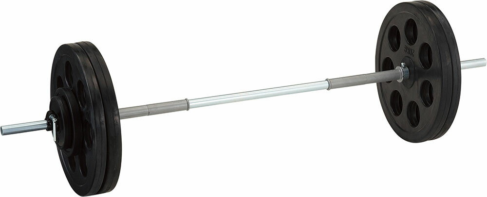 【送料無料】ダンノ 穴付ラバーバーベル28 100kgセット DANNO D5009