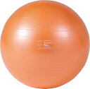 【送料無料】ダンノ ギムニクカラーボール PLUS 65 オレンジ DANNO D5422OR