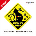 ねこ シルエット 防犯カメラ作動中 かわいいデザイン_ステッカー_屋内 屋外ステッカー_日本製_デカール_おしゃれ_デザイン_猫 防犯 カメラ 監視カメラ 録画...