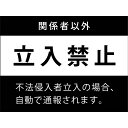 立入禁止　不法侵入_おしゃれ_プレート看板_アルミ複合板_UV加工_日本製_屋内　屋外　店舗　会社　壁面　デザイン　耐久性　丈夫　防犯　犯罪　英語　子供　子ども　危険　事故　防止_ビッグサイズC 2