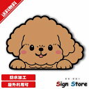 かわいい犬のステッカー【トイプードル・茶色】犬種と色が選べる日本国内製造防水仕様屋内屋外利用可能95mm×135mm. car_character_18toypubr