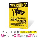 看板 プレート 屋外 プレート看板 制作 パネル 丈夫 長持ち 耐久 多言語 英語 アメリカン おしゃれ 防犯 空き巣対策 防犯向け 強盗対策 セキュリティ 窃...