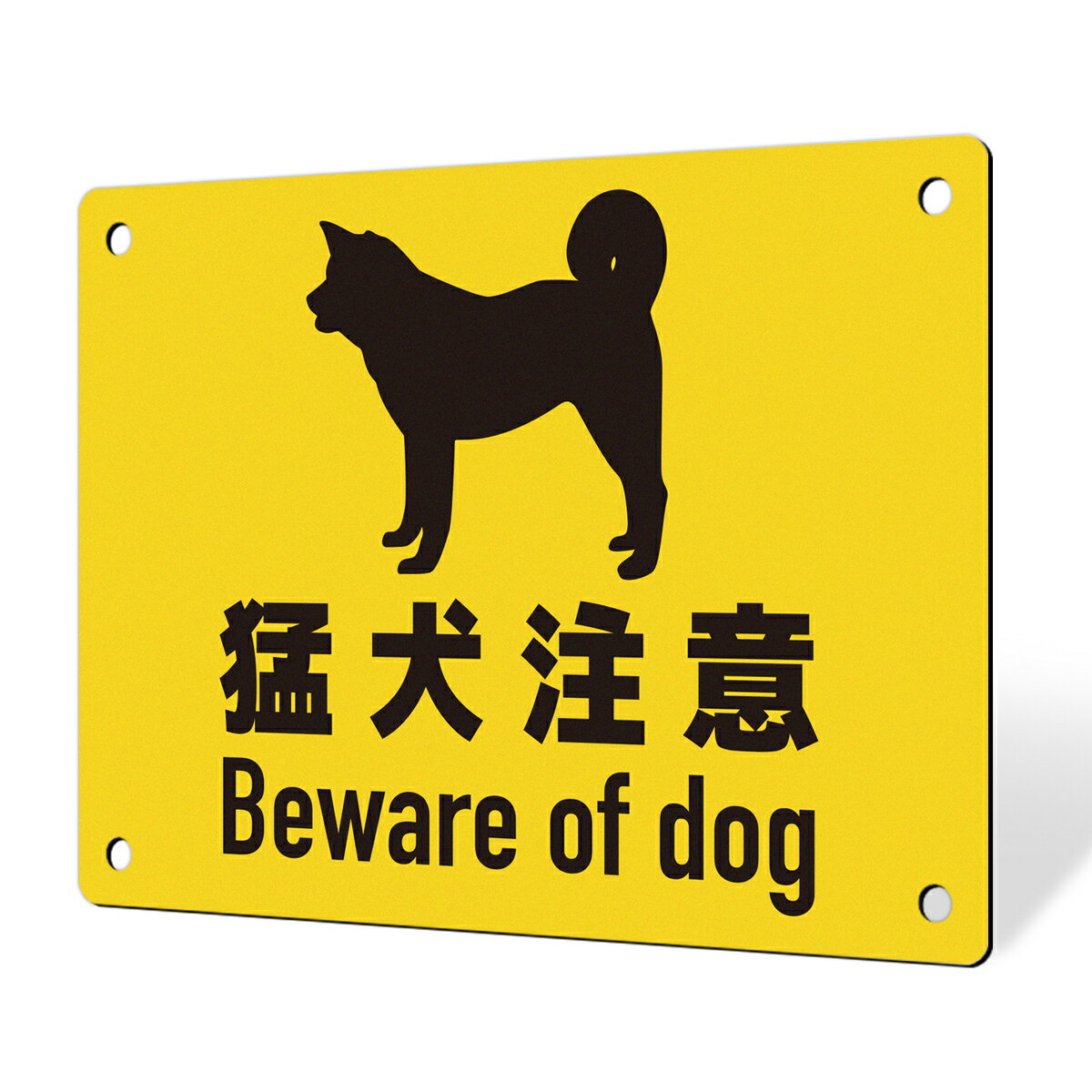  ץ졼  ץ졼ȴ  ɽ ѥͥ  Ĺ ѵ  Ը   ߴ ѥͥ ե ޥʡ Ź ͭ ...