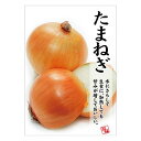 ポスター A3 POP ポップ 販促 店頭 たまねぎ AS9-0361
