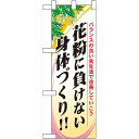 ハーフのぼり旗 花粉に負けない身体づくり!! (60630) その他