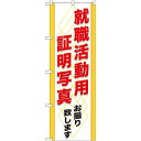 のぼり旗 (GNB-245) 就職活動用 証明写真 ネコポス便 業種別 印刷・印鑑・証明写真