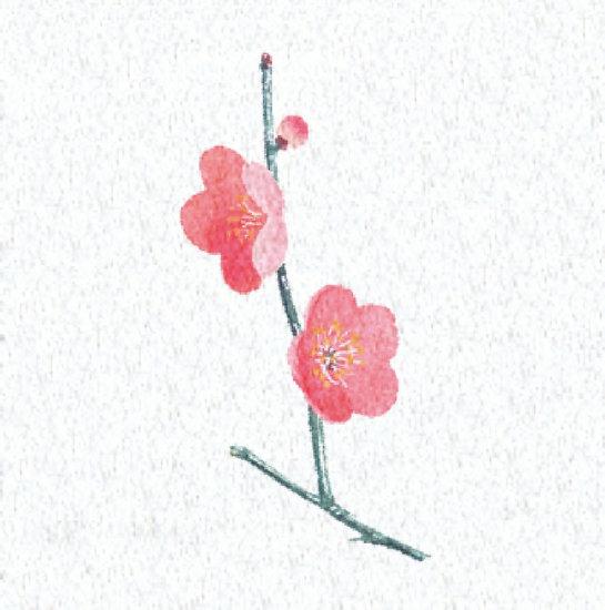 両面ラミ四季彩シート (200枚入) 梅(W66365) 敷紙・掛紙 料理直置き用敷紙